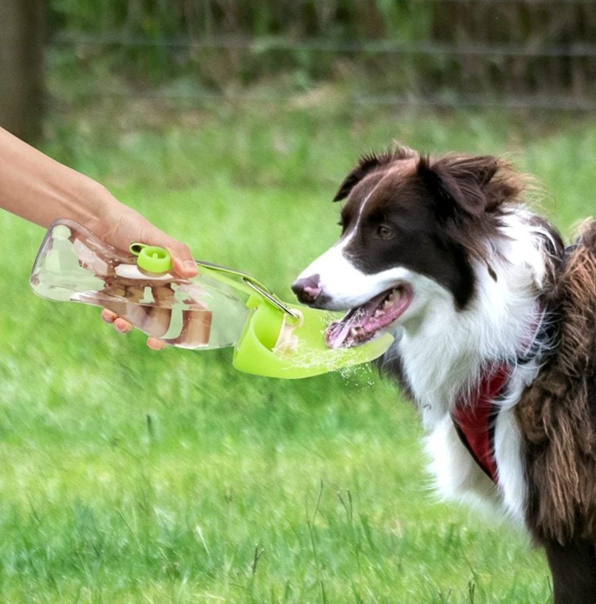 LUVENTA™ Portable Pet Water Bottle